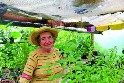 Entre guardados e legados, o mundo de Íria Faber