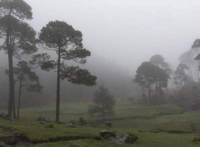 Frente fria e massa polar: como o tempo vai mudar esta semana no Sul